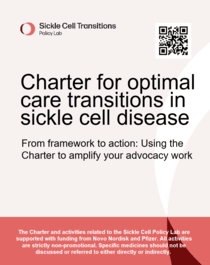 From framework to action: Using the Charter to amplify your advocacy work